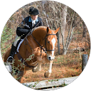 Bonnie H. profile picture