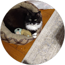 Brianna W. profile picture